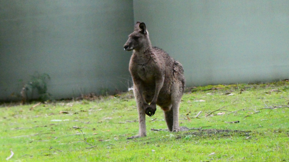 Australie: Melbourne à Sydney