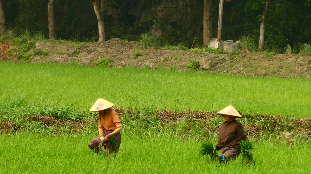 Vietnam Nord